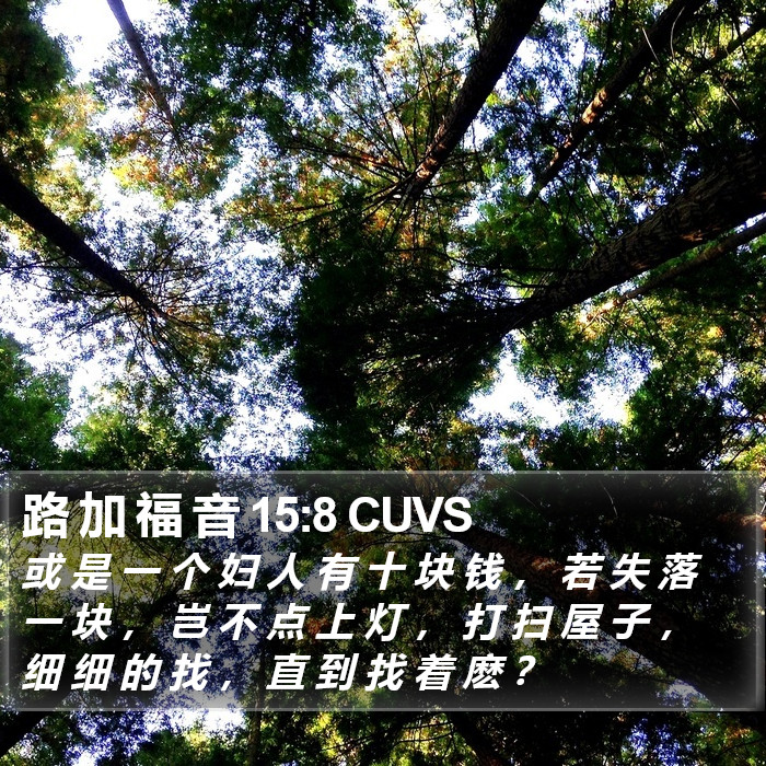 路 加 福 音 15:8 CUVS Bible Study