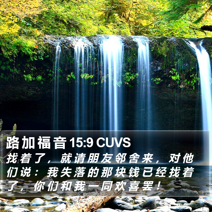 路 加 福 音 15:9 CUVS Bible Study