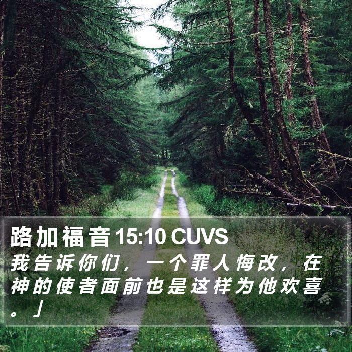 路 加 福 音 15:10 CUVS Bible Study