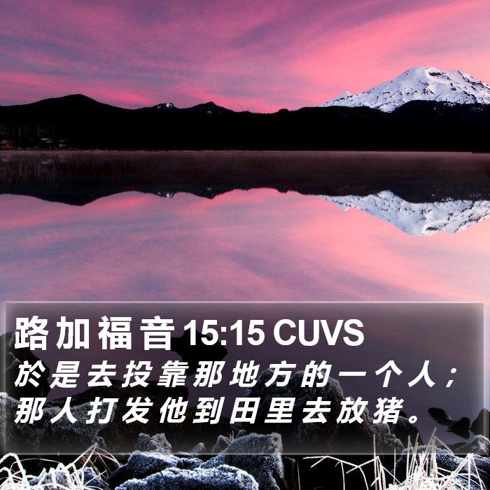 路 加 福 音 15:15 CUVS Bible Study