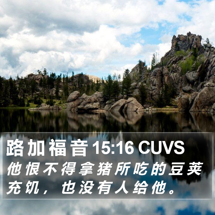 路 加 福 音 15:16 CUVS Bible Study