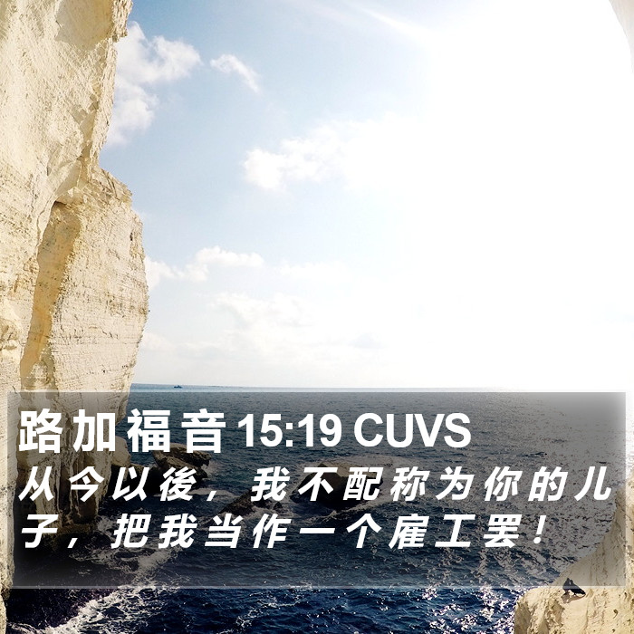 路 加 福 音 15:19 CUVS Bible Study