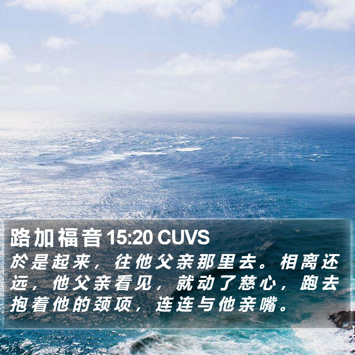 路 加 福 音 15:20 CUVS Bible Study