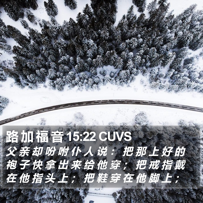 路 加 福 音 15:22 CUVS Bible Study