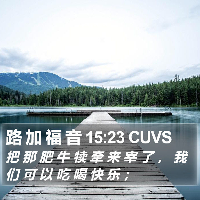 路 加 福 音 15:23 CUVS Bible Study