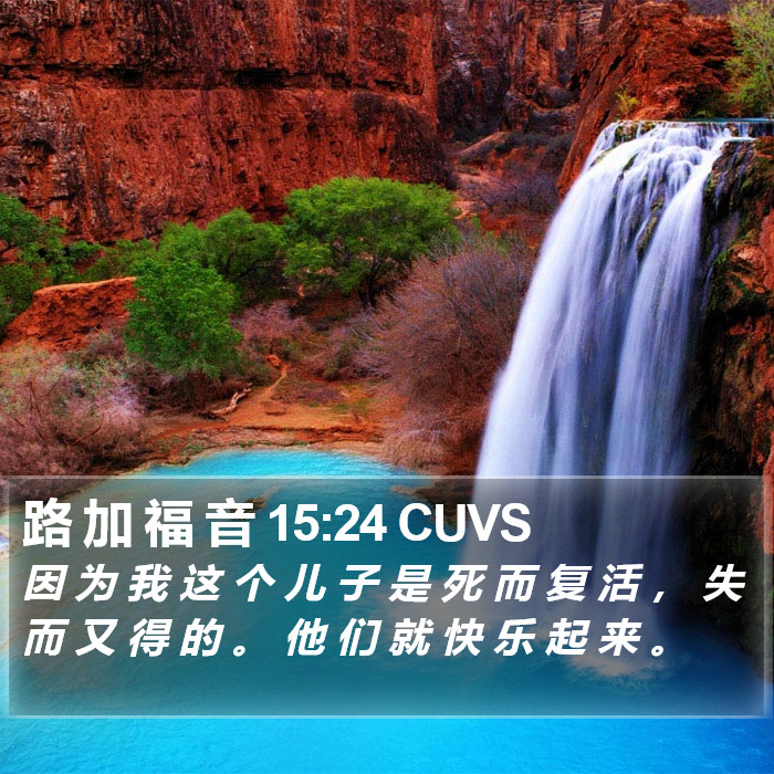 路 加 福 音 15:24 CUVS Bible Study