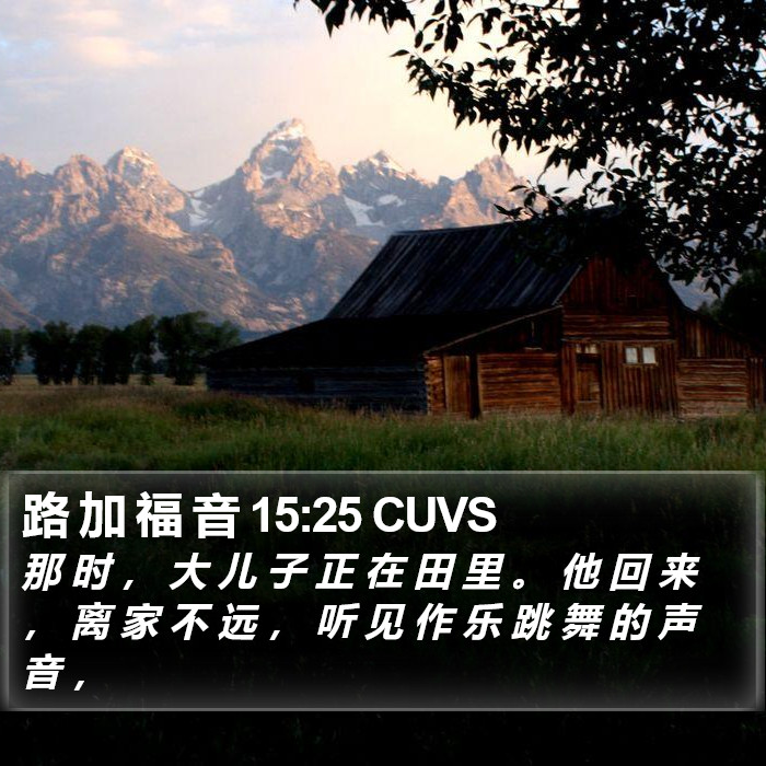 路 加 福 音 15:25 CUVS Bible Study