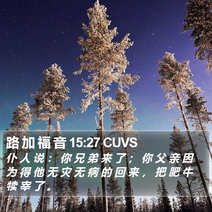 路 加 福 音 15:27 CUVS Bible Study