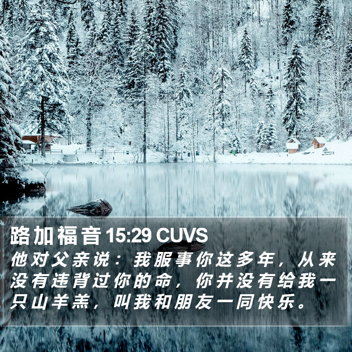 路 加 福 音 15:29 CUVS Bible Study