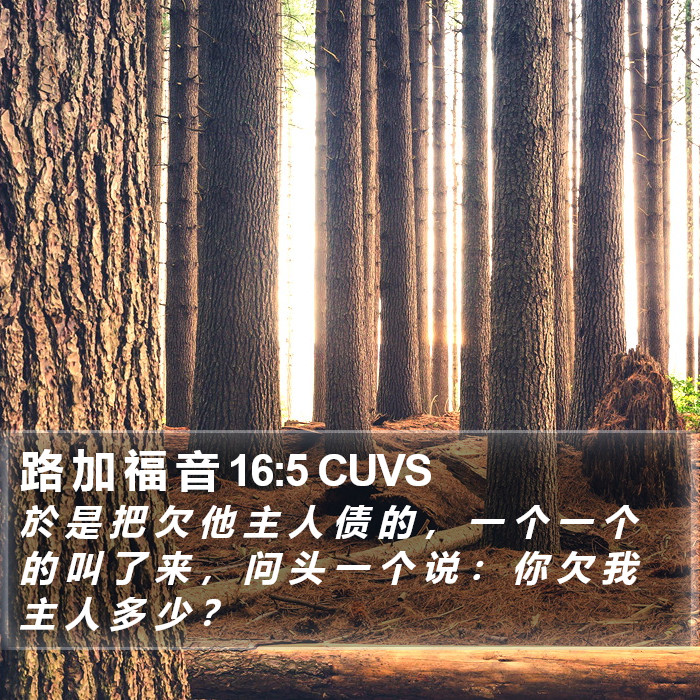 路 加 福 音 16:5 CUVS Bible Study