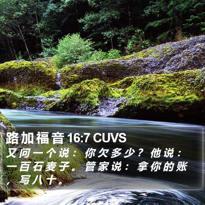 路 加 福 音 16:7 CUVS Bible Study
