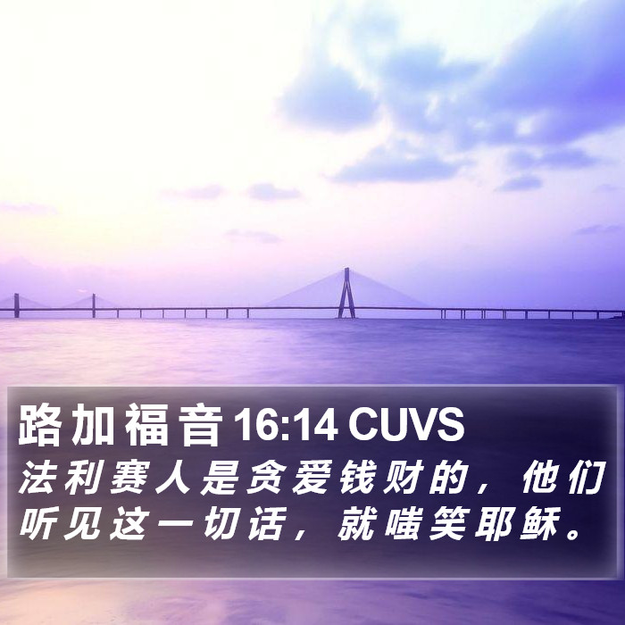 路 加 福 音 16:14 CUVS Bible Study