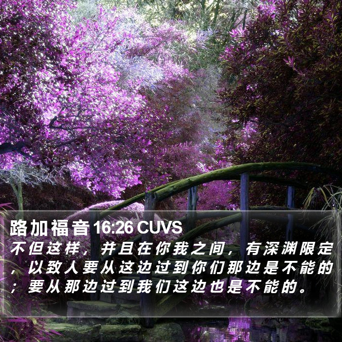 路 加 福 音 16:26 CUVS Bible Study