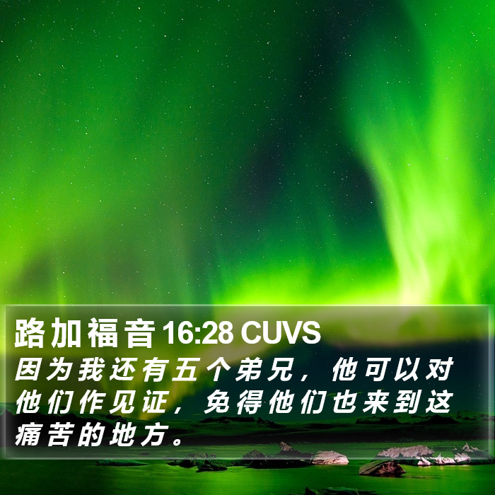 路 加 福 音 16:28 CUVS Bible Study