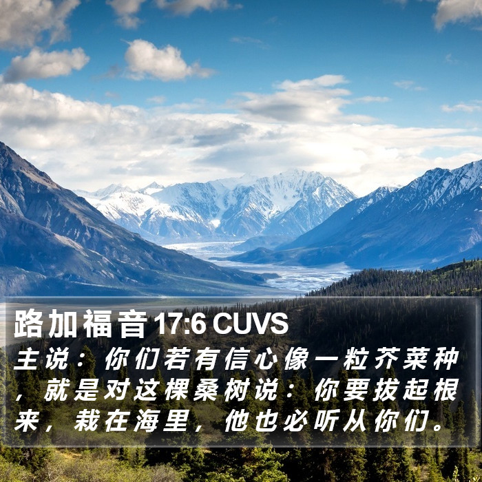 路 加 福 音 17:6 CUVS Bible Study