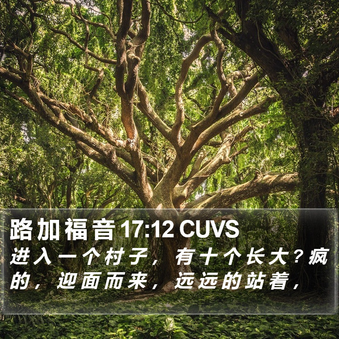 路 加 福 音 17:12 CUVS Bible Study