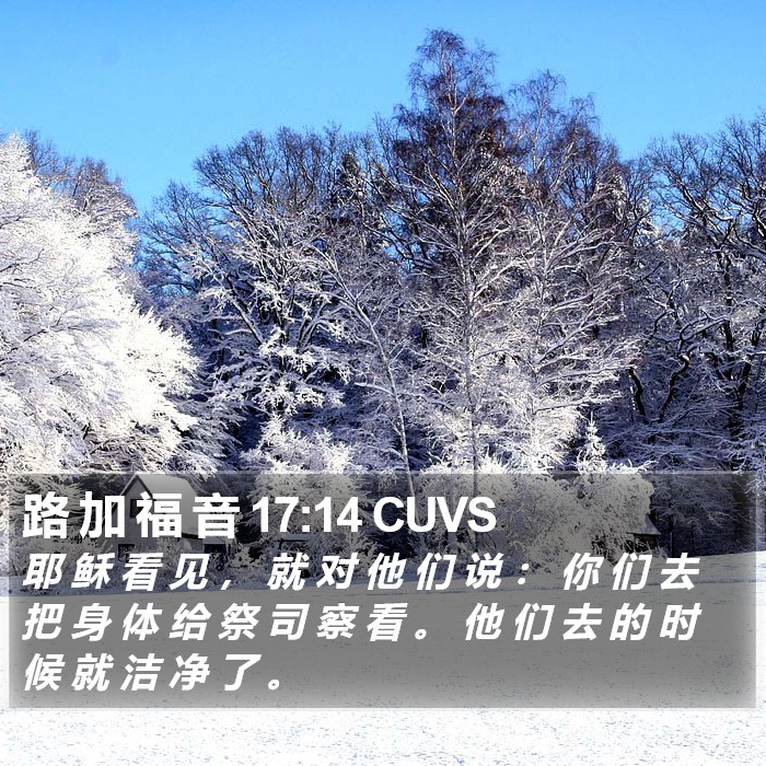 路 加 福 音 17:14 CUVS Bible Study