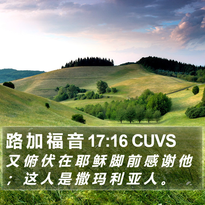 路 加 福 音 17:16 CUVS Bible Study