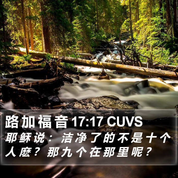 路 加 福 音 17:17 CUVS Bible Study