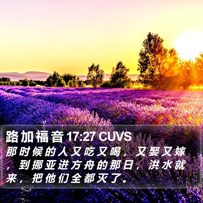 路 加 福 音 17:27 CUVS Bible Study