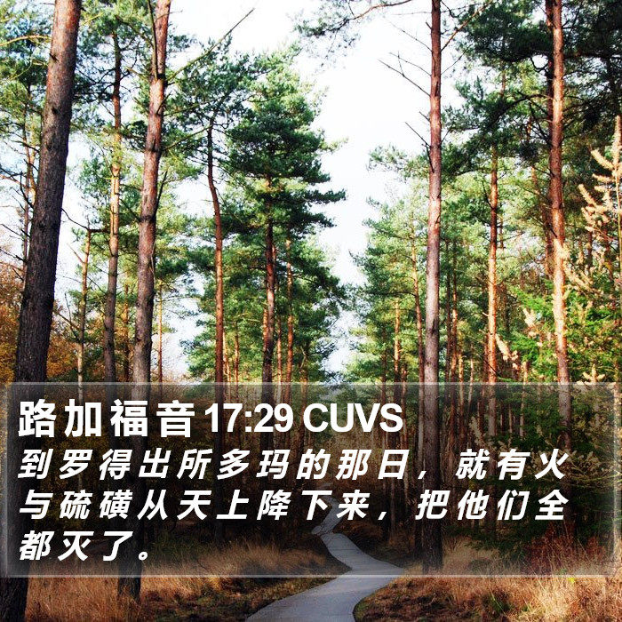 路 加 福 音 17:29 CUVS Bible Study