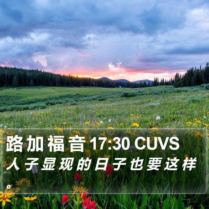 路 加 福 音 17:30 CUVS Bible Study