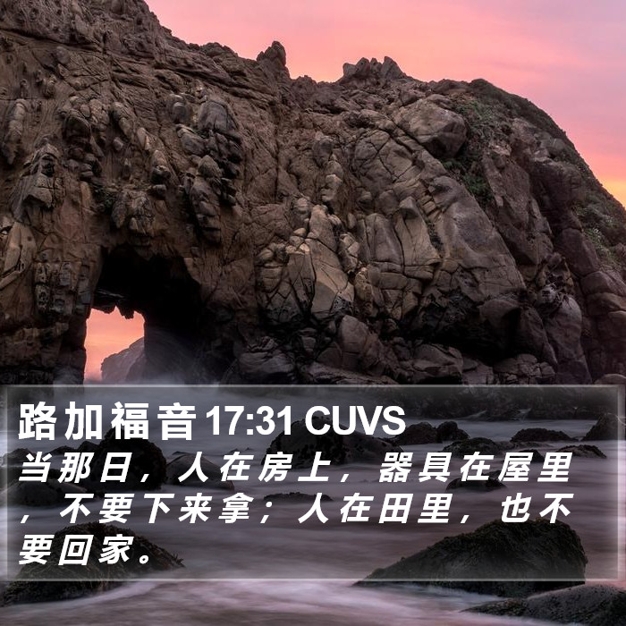 路 加 福 音 17:31 CUVS Bible Study