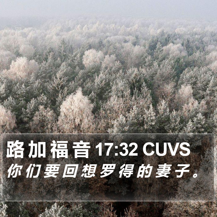 路 加 福 音 17:32 CUVS Bible Study