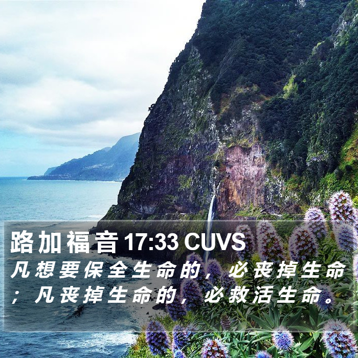 路 加 福 音 17:33 CUVS Bible Study