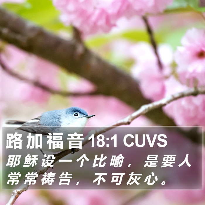 路 加 福 音 18:1 CUVS Bible Study