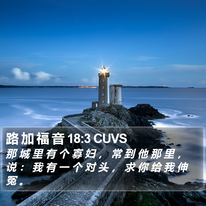 路 加 福 音 18:3 CUVS Bible Study