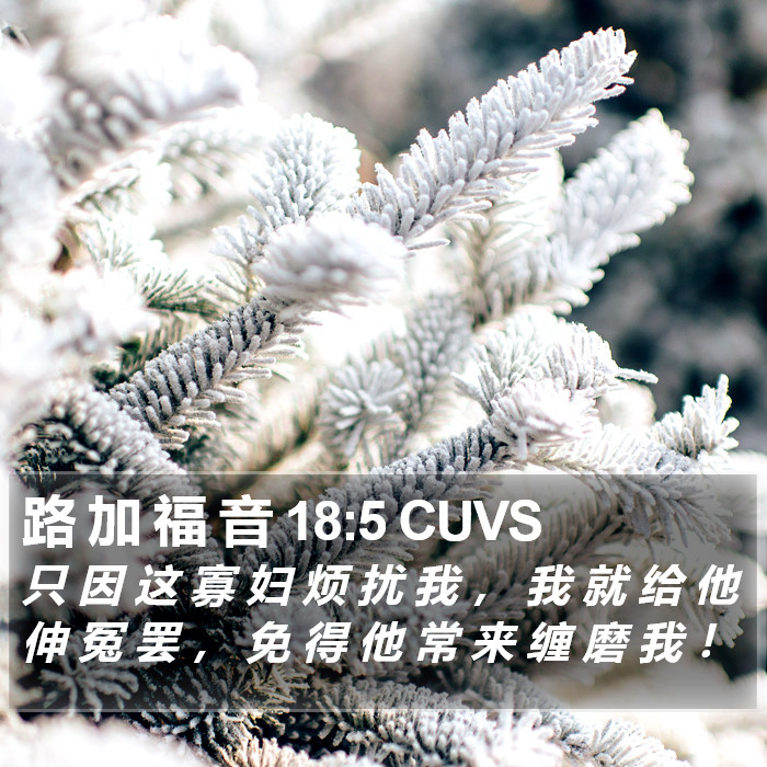 路 加 福 音 18:5 CUVS Bible Study