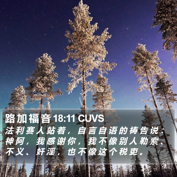 路 加 福 音 18:11 CUVS Bible Study