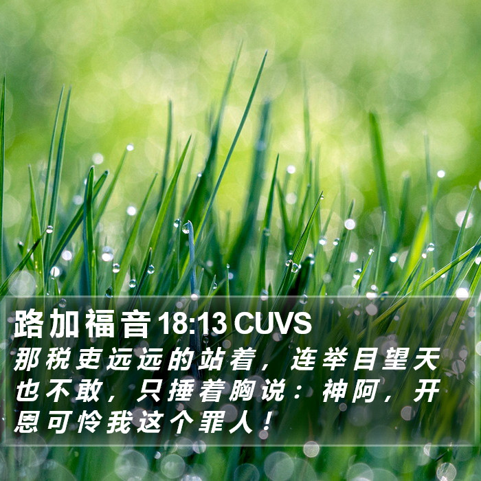 路 加 福 音 18:13 CUVS Bible Study