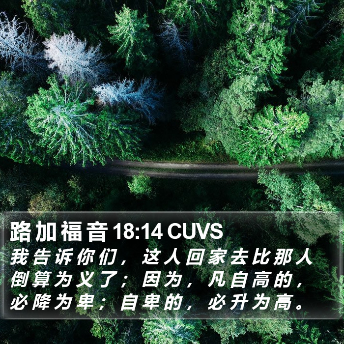 路 加 福 音 18:14 CUVS Bible Study