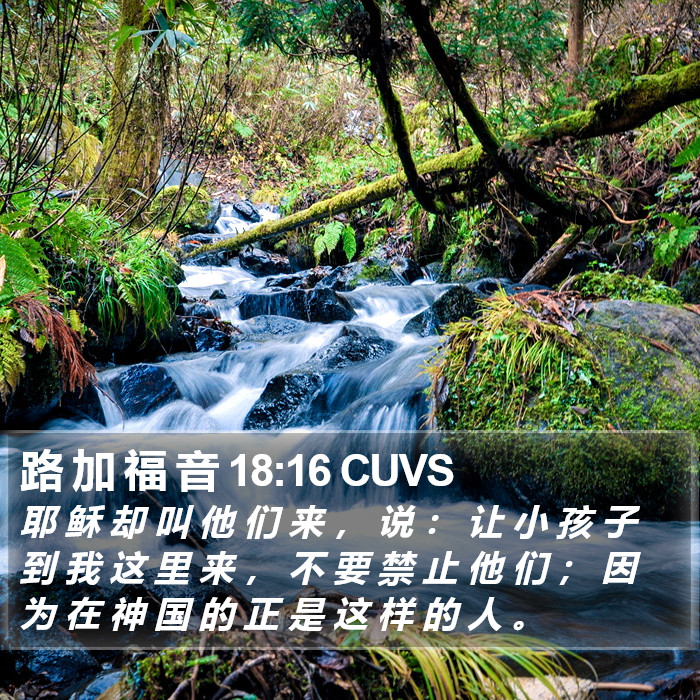 路 加 福 音 18:16 CUVS Bible Study