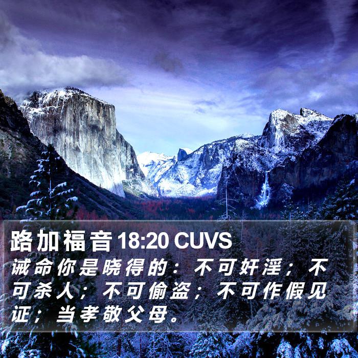 路 加 福 音 18:20 CUVS Bible Study