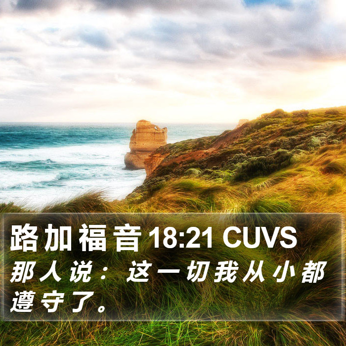 路 加 福 音 18:21 CUVS Bible Study