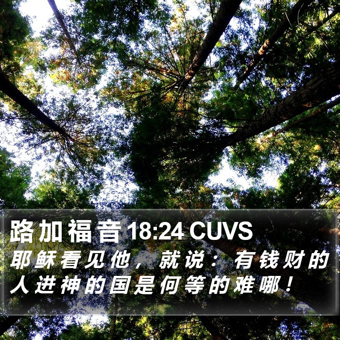 路 加 福 音 18:24 CUVS Bible Study