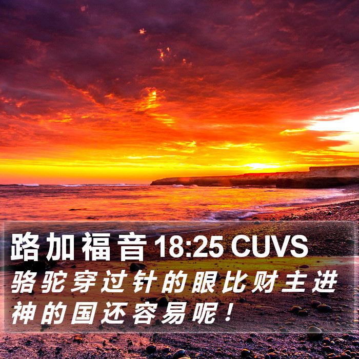 路 加 福 音 18:25 CUVS Bible Study