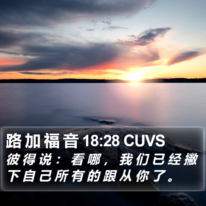 路 加 福 音 18:28 CUVS Bible Study