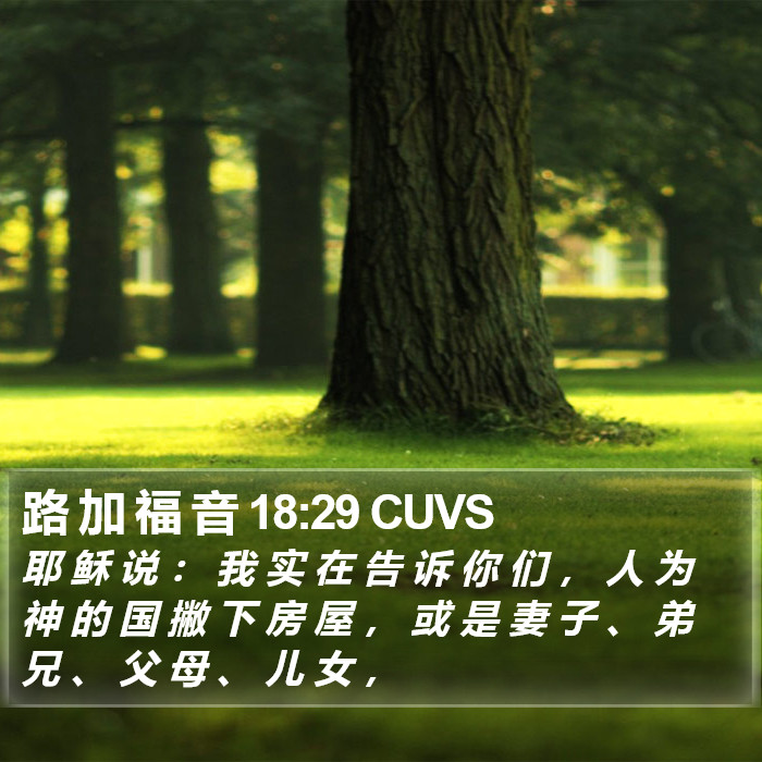 路 加 福 音 18:29 CUVS Bible Study