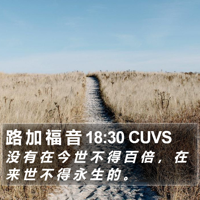 路 加 福 音 18:30 CUVS Bible Study