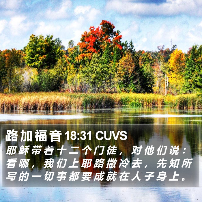 路 加 福 音 18:31 CUVS Bible Study