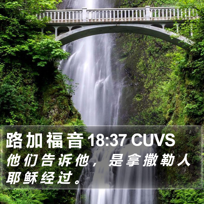 路 加 福 音 18:37 CUVS Bible Study