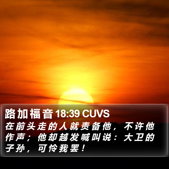 路 加 福 音 18:39 CUVS Bible Study