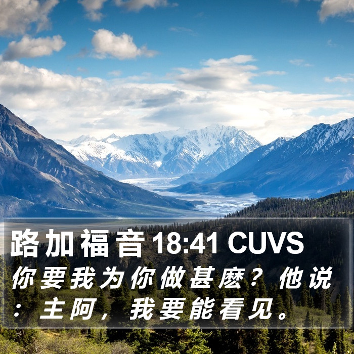 路 加 福 音 18:41 CUVS Bible Study