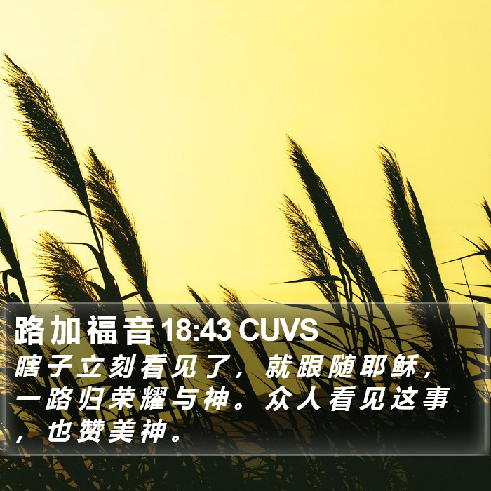 路 加 福 音 18:43 CUVS Bible Study