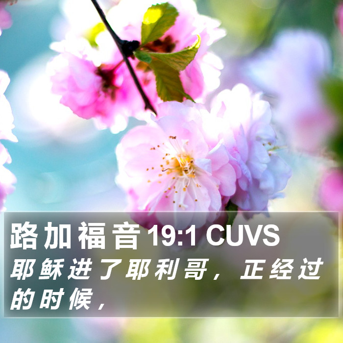 路 加 福 音 19:1 CUVS Bible Study