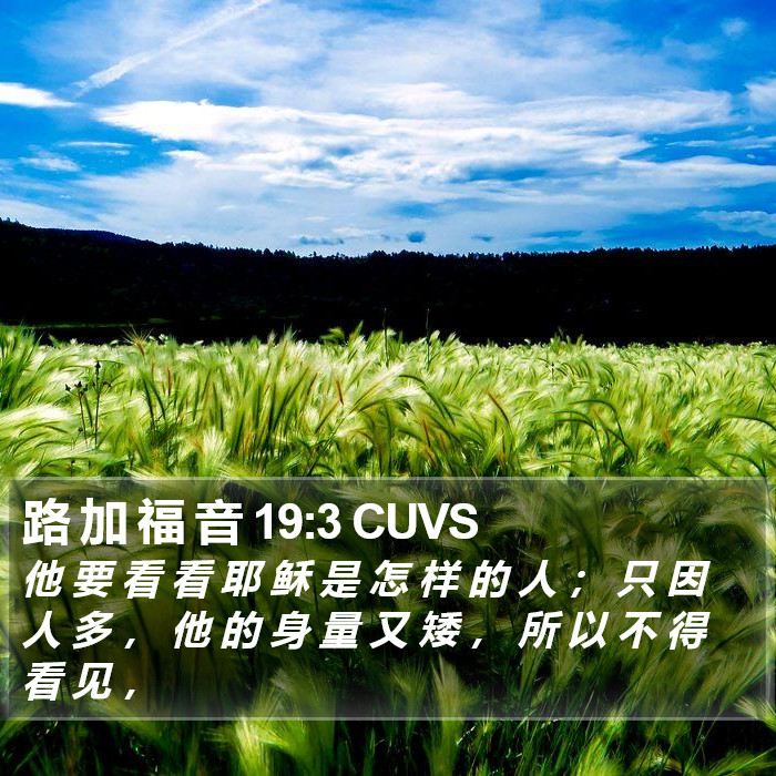 路 加 福 音 19:3 CUVS Bible Study